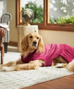 Frisco Faux Crystal & Pearl Dog & Cat Sweater Dress 11 Frisco Faux Crystal & Pearl Dog & Cat Sweater Dress -The Frisco Store 223717 PT7. SY630 V1599564978