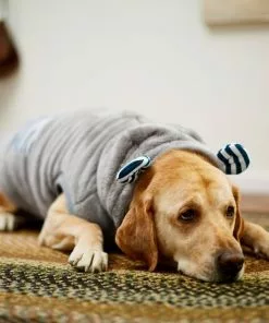 Frisco Plush Hooded Insulated Dog & Cat Coat 15 Frisco Plush Hooded Insulated Dog & Cat Coat -The Frisco Store 223969 PT7. SY630 V1601579213