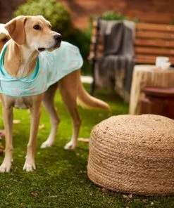 Frisco Flamingo Dog Raincoat 13 Frisco Flamingo Dog Raincoat -The Frisco Store 224065 PT7. SY630 V1614985901