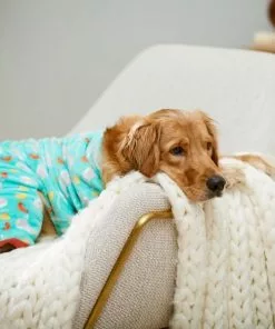 Frisco Sea Creatures Dog & Cat Cozy Fleece PJs 11 Frisco Sea Creatures Dog & Cat Cozy Fleece PJs -The Frisco Store 224104 PT7. SY630 V1599565898