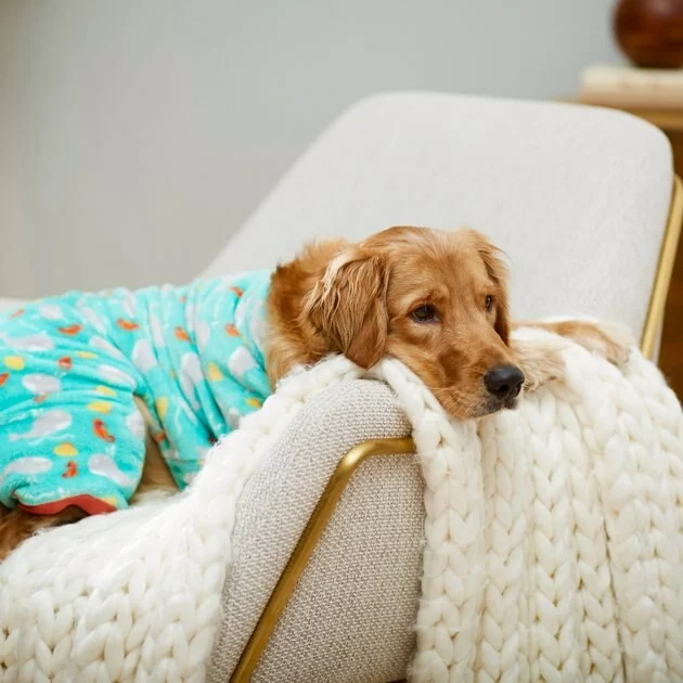 Frisco Sea Creatures Dog & Cat Cozy Fleece PJs 7 Frisco Sea Creatures Dog & Cat Cozy Fleece PJs - Image 5