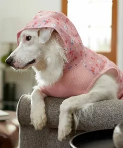 Frisco Floral Dog & Cat Hoodie -The Frisco Store 224217 PT8. SY630 V1607568448