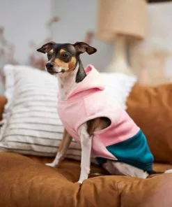 Frisco Colorblock Dog & Cat Sleeveless Hoodie 16 Frisco Colorblock Dog & Cat Sleeveless Hoodie -The Frisco Store 224258 PT6. SY630 V1637672226