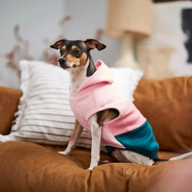 Frisco Colorblock Dog & Cat Sleeveless Hoodie 10 Frisco Colorblock Dog & Cat Sleeveless Hoodie - Image 8