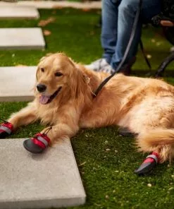 Frisco Anti-Slip Soft-Soled Dog Boots 11 Frisco Anti-Slip Soft-Soled Dog Boots -The Frisco Store 224360 PT7. SY630 V1601578001