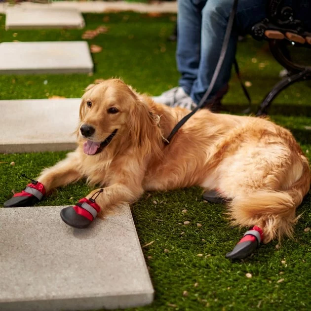 Frisco Anti-Slip Soft-Soled Dog Boots 7 Frisco Anti-Slip Soft-Soled Dog Boots - Image 5