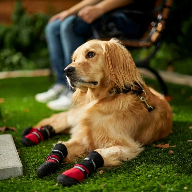 Frisco Anti-Slip Extended Cuff Length Dog Boots 7 Frisco Anti-Slip Extended Cuff Length Dog Boots - Image 5