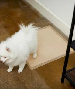 Frisco Large Eco-Conscious Dog Training & Potty Pads, 22 x 23-in, Unscented -The Frisco Store 227438 PT6. SY630 V1604701050