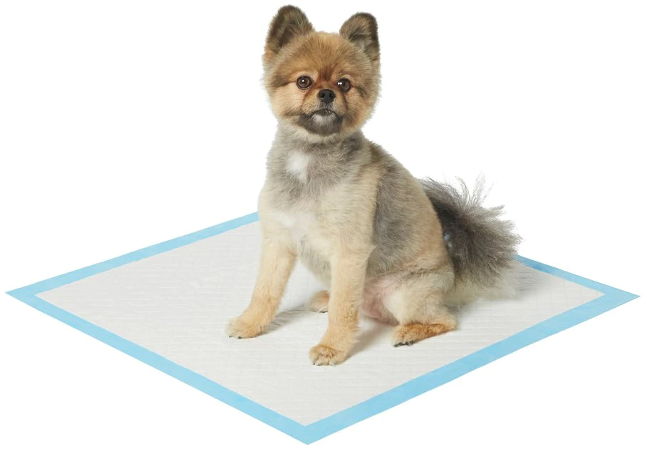 Frisco Non-Skid Ultra Premium Dog Training & Potty Pads, 22 x 23-in 4 Frisco Non-Skid Ultra Premium Dog Training & Potty Pads, 22 x 23-in - Image 2