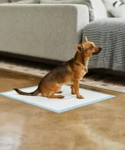 Frisco Non-Skid Ultra Premium Dog Training & Potty Pads, 22 x 23-in 11 Frisco Non-Skid Ultra Premium Dog Training & Potty Pads, 22 x 23-in -The Frisco Store 227447 PT6. SY630 V1604701029
