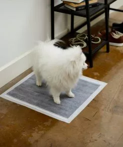 Frisco Charcoal Dog Training & Potty Pads, 22 x 23-in, Unscented -The Frisco Store 227456 PT6. SY630 V1604701986