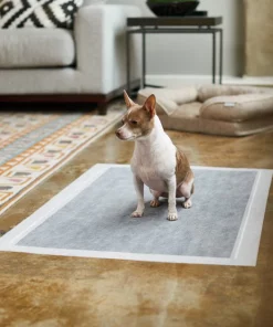 Frisco Giant Charcoal Dog Training & Potty Pads, 27.5 x 44-in, Unscented -The Frisco Store 227462 PT6. SY630 V1604701065