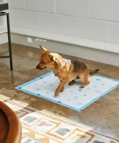Frisco Printed Dog Training & Potty Pads, 22 x 23-in, Unscented 11 Frisco Printed Dog Training & Potty Pads, 22 x 23-in, Unscented -The Frisco Store 227465 PT6. SY630 V1604701913