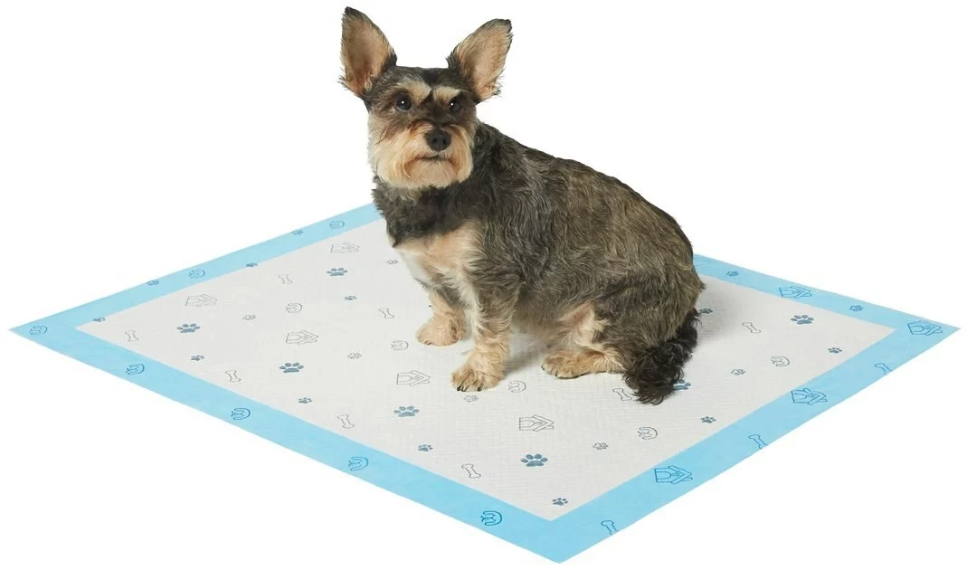 Frisco Extra Large Printed Dog Training & Potty Pads, 28 x 34-in, Unscented 4 Frisco Extra Large Printed Dog Training & Potty Pads, 28 x 34-in, Unscented - Image 2
