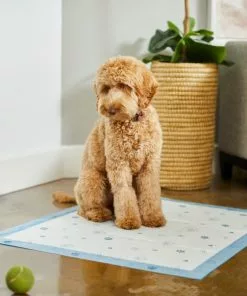 Frisco Extra Large Printed Dog Training & Potty Pads, 28 x 34-in, Unscented 11 Frisco Extra Large Printed Dog Training & Potty Pads, 28 x 34-in, Unscented -The Frisco Store 227468 PT6. SY630 V1604701633