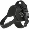 Frisco Big Dog Harness -The Frisco Store 227874 MAIN. SY630 V1599070555