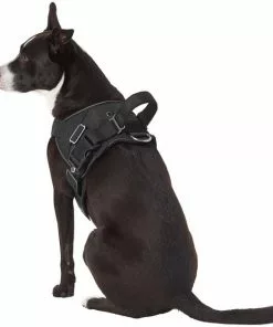 Frisco Big Dog Harness -The Frisco Store 227874 PT5. SY630 V1603417907
