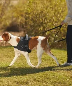 Frisco Big Dog Harness -The Frisco Store 227874 PT6. SY630 V1604446013