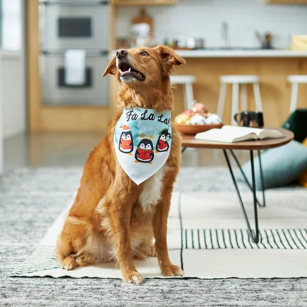 Frisco Fa La La Dog & Cat Bandana 7 Frisco Fa La La Dog & Cat Bandana - Image 5