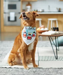 Frisco Fa La La Dog & Cat Bandana 13 Frisco Fa La La Dog & Cat Bandana -The Frisco Store 228977 PT7. SY630 V1601640685
