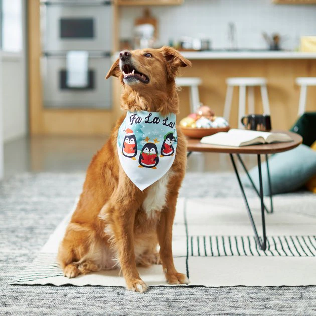 Frisco Fa La La Dog & Cat Bandana 8 Frisco Fa La La Dog & Cat Bandana - Image 6