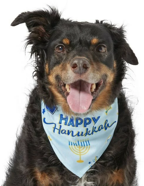 Frisco Happy Hanukkah Dog & Cat Bandana 5 Frisco Happy Hanukkah Dog & Cat Bandana - Image 3