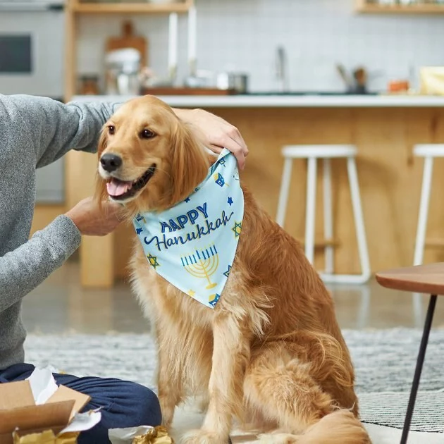 Frisco Happy Hanukkah Dog & Cat Bandana 8 Frisco Happy Hanukkah Dog & Cat Bandana - Image 6