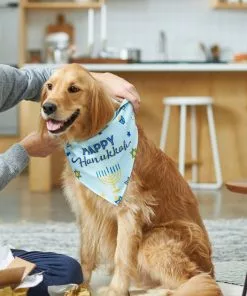 Frisco Happy Hanukkah Dog & Cat Bandana 15 Frisco Happy Hanukkah Dog & Cat Bandana -The Frisco Store 228980 PT7. SY630 V1601640382