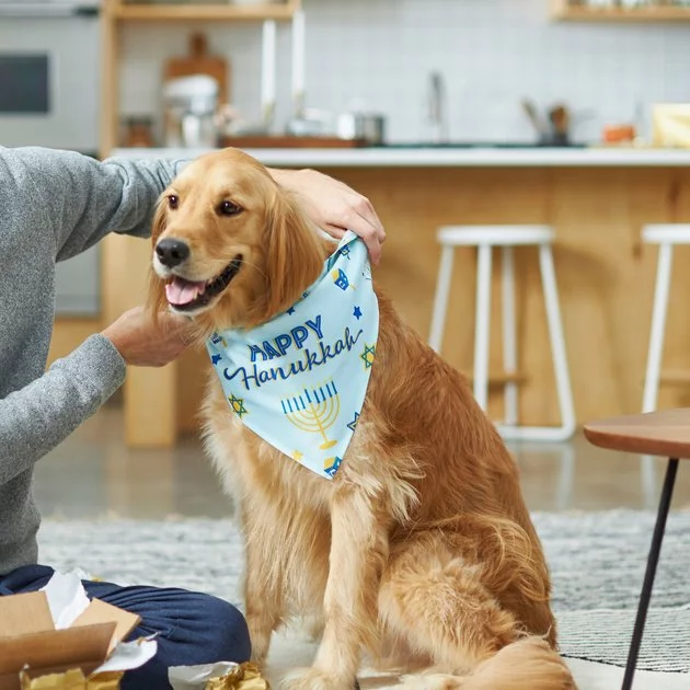 Frisco Happy Hanukkah Dog & Cat Bandana 9 Frisco Happy Hanukkah Dog & Cat Bandana - Image 7