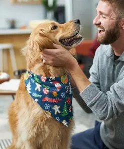 Frisco Holiday & New Years Dog & Cat Bandana, 2 pack -The Frisco Store 228983 PT7. SY630 V1601637677