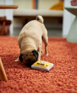 Frisco Retro Cassette Dense Foam Squeaky Dog Toy -The Frisco Store 230296 PT3. SY630 V1601946962