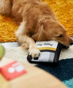 Frisco Retro Floppy Disc Ballistic Nylon Plush Squeaky Dog Toy -The Frisco Store 230304 PT3. SY630 V1602639753