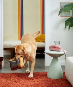 Frisco Retro Television Ballistic Nylon Plush Squeaky Dog Toy -The Frisco Store 230308 PT3. SY630 V1601947325