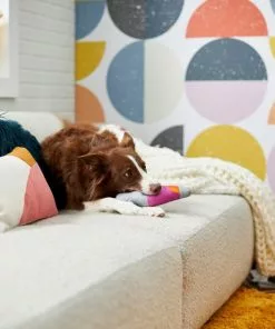 Frisco Retro Lava Lamp Ballistic Nylon Plush Squeaky Dog Toy -The Frisco Store 230310 PT3. SY630 V1601947330