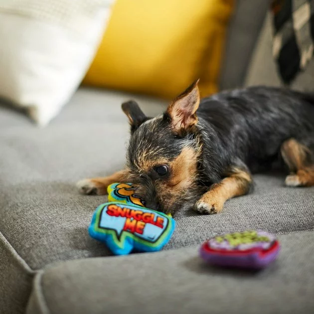 Frisco Retro Plush Squeaky Comic Book Bubble Dog Toy, 3 count 5 Frisco Retro Plush Squeaky Comic Book Bubble Dog Toy, 3 count - Image 3