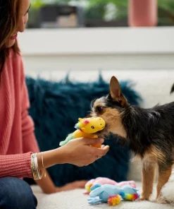 Frisco Retro Colorful Pony Plush Squeaky Dog Toy -The Frisco Store 230357 PT3. SY630 V1601947361