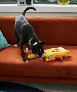 Frisco Retro Waffle Box Hide & Seek Plush Puzzle Squeaky Dog Toy -The Frisco Store 230369 PT3. SY630 V1602639769