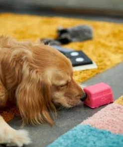 Frisco Retro Funky Van TPE Treat Dispenser Dog Toy -The Frisco Store 230382 PT3. SY630 V1602639677