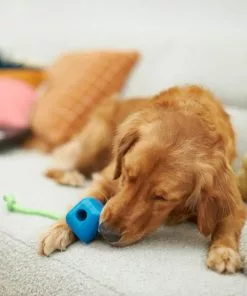 Frisco Retro PC Mouse Rubber Tug & Fetch Dog Toy 7 Frisco Retro PC Mouse Rubber Tug & Fetch Dog Toy -The Frisco Store 230385 PT3. SY630 V1606953426