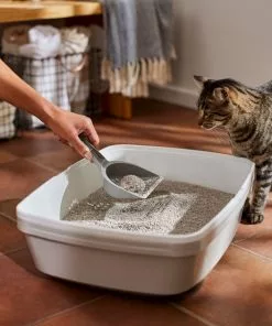 Frisco Lightweight Scented Clumping Cat Litter -The Frisco Store 230718 PT4. SY630 V1659023572