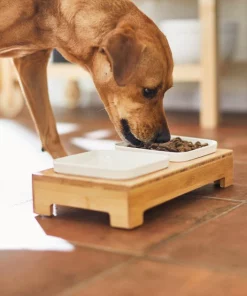 Frisco Square Melamine Dog & Cat Bowl Set with Bamboo Stand 15 Frisco Square Melamine Dog & Cat Bowl Set with Bamboo Stand -The Frisco Store 232076 PT8. SY630 V1605757015