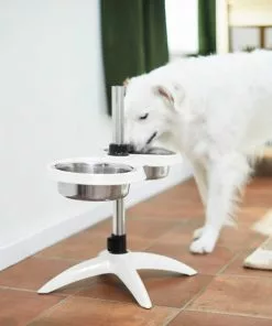Frisco Adjustable Stainless Steel Double Elevated Dog Bowls, 7 Cups 15 Frisco Adjustable Stainless Steel Double Elevated Dog Bowls, 7 Cups -The Frisco Store 232097 PT8. SY630 V1605740511