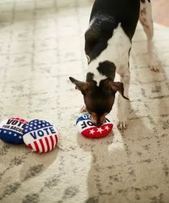 Frisco Plush Squeaky Voting Pins Dog Toy, 3 count -The Frisco Store 233573 PT3. SY630 V1600973796