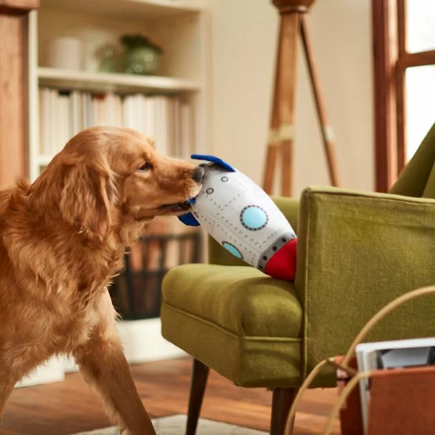 Frisco Ballistic Nylon Plush Squeaky Rocket Ship Dog Toy 5 Frisco Ballistic Nylon Plush Squeaky Rocket Ship Dog Toy - Image 3