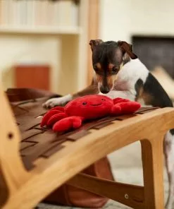 Frisco Crab Dense Foam Squeaky Dog Toy -The Frisco Store 233589 PT3. SY630 V1600973800