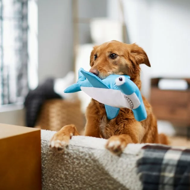 Frisco Ballistic Nylon Plush Squeaky Hammerhead Shark Dog Toy 5 Frisco Ballistic Nylon Plush Squeaky Hammerhead Shark Dog Toy - Image 3