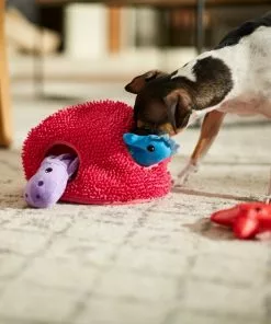 Frisco Hide & Seek Plush Coral Puzzle Dog Toy -The Frisco Store 233595 PT3. SY630 V1600973820