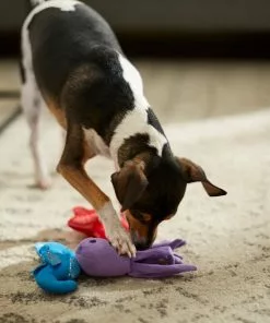 Frisco Hide & Seek Plush Coral Puzzle Dog Toy Refill, 3 count -The Frisco Store 233597 PT3. SY630 V1600973853