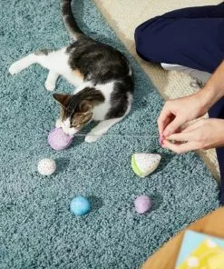 Frisco Birthday Bundle Cat Toy with Catnip, 5 count -The Frisco Store 233599 PT2. SY630 V1600974070