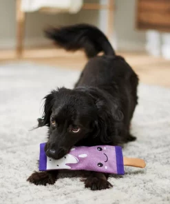 Frisco Popsicle Firehose Squeaky Dog Toy -The Frisco Store 233607 PT3. SY630 V1600974055